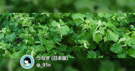 羞羞漫画网页真人：一种线上娱乐新形态的探索与观察